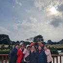 (주)제주미니버스투어서비스 | 제주도 미니버스 투어 기사포함 걱정 없는 제주 여행