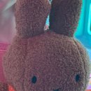 펀존게임랜드 이미지