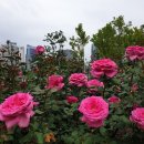 혁신도시중앙공원 이미지