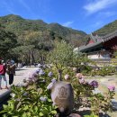 보경사고향식당 | 포항맛집: 보경식당(내연산 보경사 맛집✨,위치,메뉴,가격,내돈내먹,후기,포스팅)