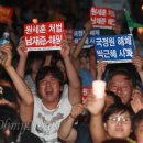 식물안 이미지