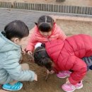 나무앤숲