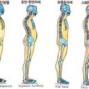 스타덤핏 이미지