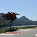 977 | 전남 담양 숙소 추천 : 감성 숙소 글리제 977 수영장, 바베큐 솔직 후기 (304호)