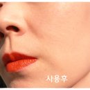 디에스비코리아 | &lt;메이크업 헬퍼 레몬밤 워터 70 크림 허니&gt; 피부화장이 뜨지 않게 해주는 수분크림
