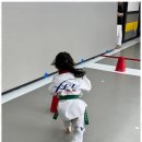 엑스피엘태권도 네이버블로그