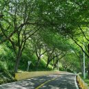 자월치안센터 이미지