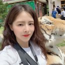 경북 봉화 가볼만한곳 분천 산타마을 소천권역 커뮤니티센터 봉화협곡농원