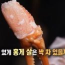 오이소홍게무한리필 이미지