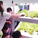 스마트팜 이미지