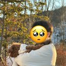 용인시 재활용센터(이동) | 용인이사 경기도이사 이삿짐센터 참익스프레스 내돈내산 이용 후기