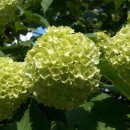 김현철 콘서트 이미지