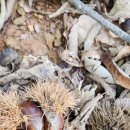 지티농장 이미지