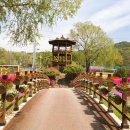 한반도섬 이미지