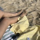 동백샤브샤브 이미지