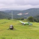 웰컴투목장 이미지