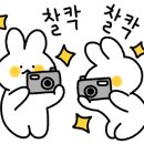우신테이프 이미지