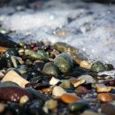 은송이네 이미지