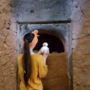 초정참숯가마찜질방 이미지