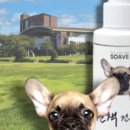 부산동물약국 이미지