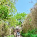 소호259하우스 이미지