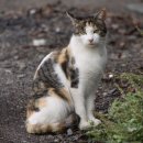 해피헤어 이미지