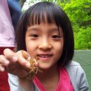 금산초병설유치원 이미지