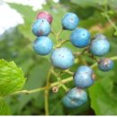 거목유도관 이미지