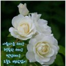 대지주유소 이미지