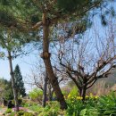 (주)힐링팜 이미지