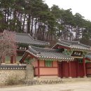 강릉김씨묘역 세계일보