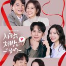 김정영 | 화려한 날들 결말 정리｜천호진 희생·정일우 생존·3년 후 근황 총정리