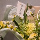 나인트리 프리미어 로카우스호텔 서울 용산(Nine Tree Premier ROKAUS Hotel Seoul Yongsan) | [용산] 위치 너무 좋고 수영장도 이쁜 용산 4성급 호텔 '나인트리 프리미어 로카우스'