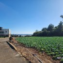 탐나는부동산공인중개사사무소 이미지