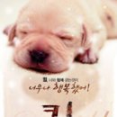 ㈜더라임 이미지