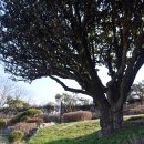 죽산리경로당 이미지