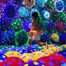 포레스트 랩(FOREST LAB) 이미지