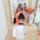 독도참가자미 이미지