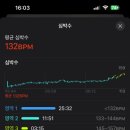 성남종합운동장 이미지