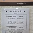 리니 네이버블로그