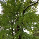 나드리까페 이미지