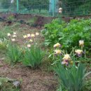 옥주농장 이미지