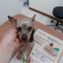 신월동201 이미지