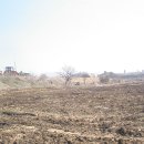 예산농장 이미지