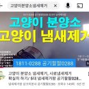 팻살롱