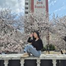 2025.03.28 ~ 2025.04.20 부산살이!