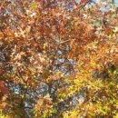 장신농장 이미지