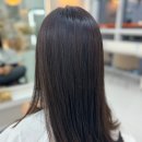 보그헤어샵 이미지