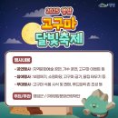 영암군 달빛축제 이미지