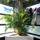 팀파시 강북 이미지